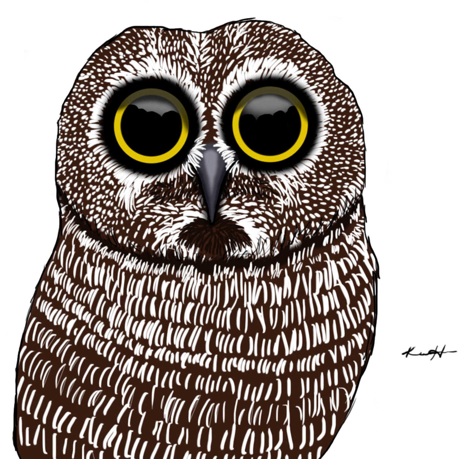 Owl character illustration